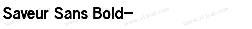 Saveur Sans Bold字体转换